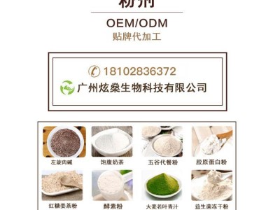 保健咖啡粉OEM速效二合一代工三合一散条装咖啡饮品健康食品