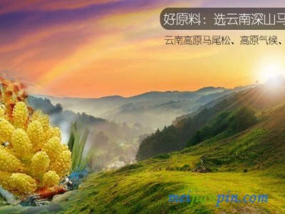 德科特天然精加工松花粉