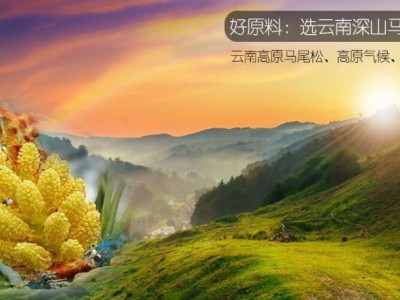 德科特天然精加工松花粉