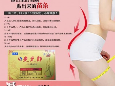 减肥贴供应商 承接OEM贴牌定制