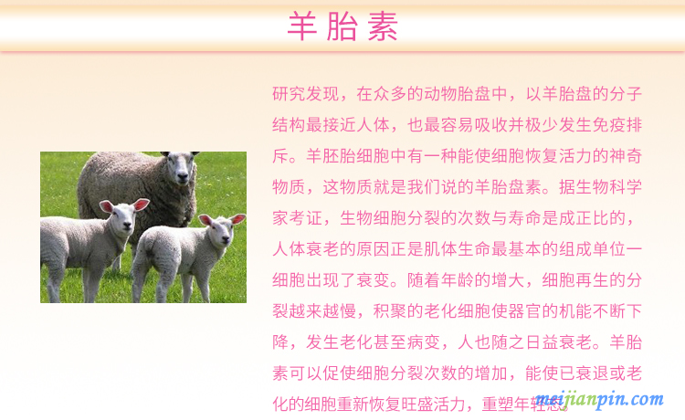 图层 2