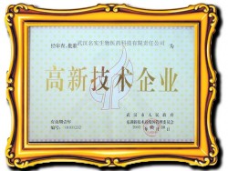 高新技术企业