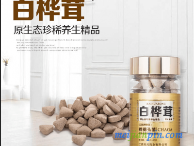 白桦茸(又名桦树菇)