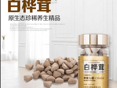 白桦茸(又名桦树菇)