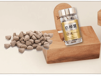 白桦茸(又名桦树菇)
