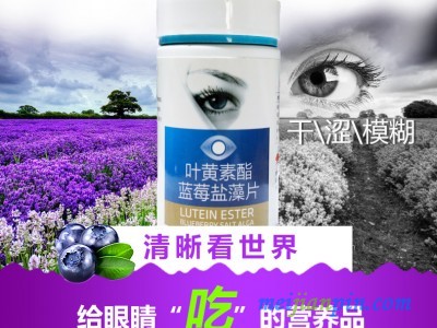 叶黄素酯蓝莓盐藻片