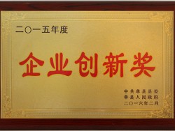 企业创新奖