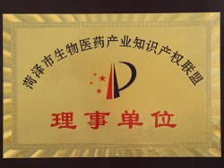 理事单位