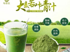 大麦茶的饮用禁忌