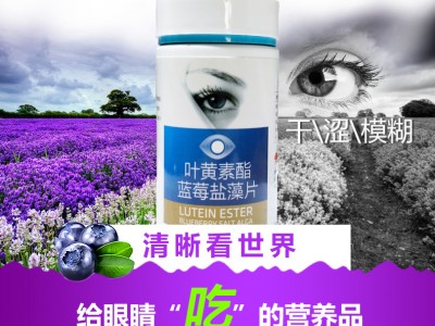 叶黄素酯蓝莓盐藻片