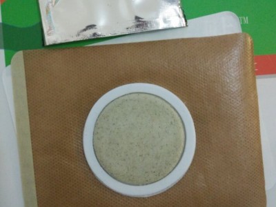 透皮贴剂组合 含载体的沙蒿子透皮贴