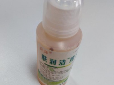 透皮贴剂组合 含载体的沙蒿子透皮贴