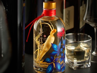 辽宁特色白酒东北人参酒500ml盒装适合送人的酒招商