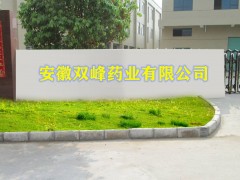 安徽双峰药业有限公司