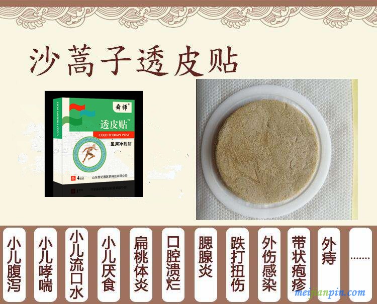沙蒿子透皮贴