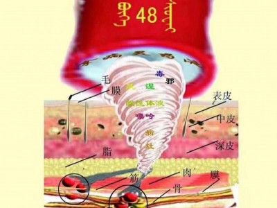 萨满强磁量子大红罐厂家招商加盟 萨满罐批发