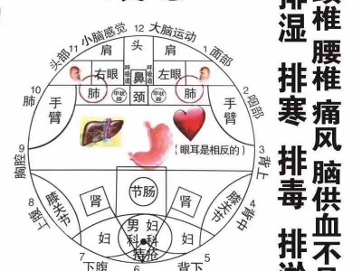 川坤罐子厂家拿货价 代理有要求吗
